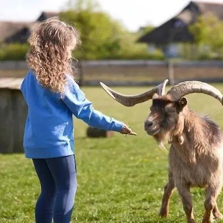 Im Der Valk In Linstow *