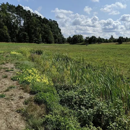 Im Der Valk In Linstow *